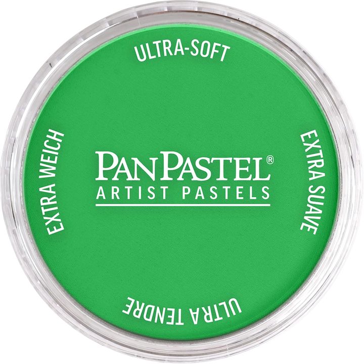 PanPastel Trockenpastell 9 ml – 640.5 Permanent Grün