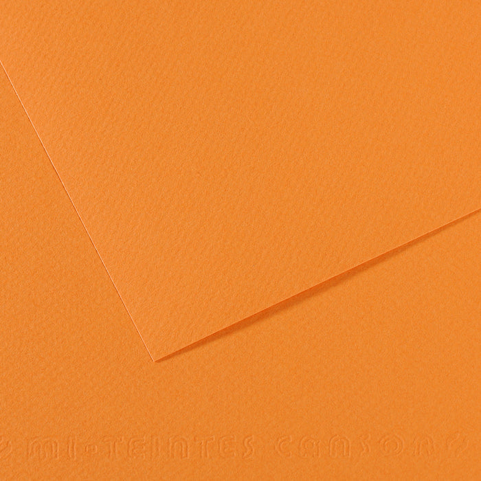 Pastellpapier CANSON Mi-Teintes A4 / 160 g/m² – 50 Blatt – Hellgelbbraun 384