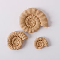 Pentart Elastic wood Shell set Muscheln 6,5 x 5,5 cm 3 Stk.