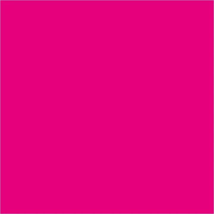 Pentart Flüssigpigmente 10 ml | verschiedene Farbtöne — Bild 6