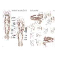 Sammlung Leonardo 04 Anatomie — Bild 12