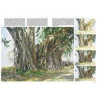 Sammlung Leonardo 45 Bäume und Blätter — Bild 12