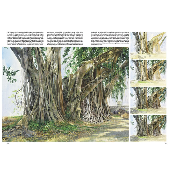 Sammlung Leonardo 45 Bäume und Blätter — Bild 12
