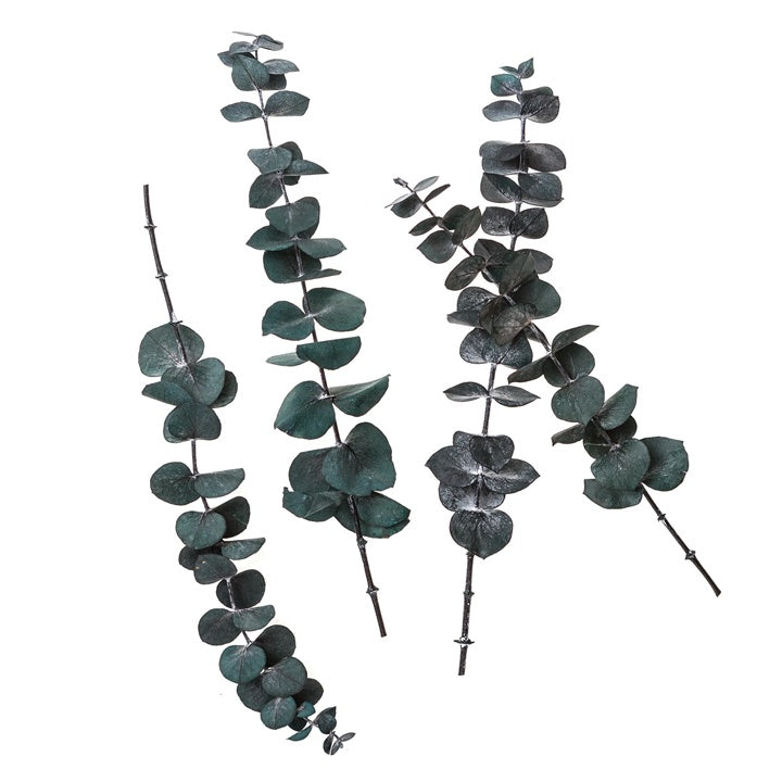 Stabilisierter Eukalyptus Baby Blau / 4 Stiele, Grün, 20 cm — Bild 1