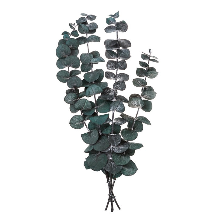 Stabilisierter Eukalyptus Baby Blau / 4 Stiele, Grün, 20 cm — Bild 3