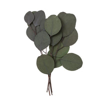 Stabilisierter Eukalyptus Populus - Grün / 4 Stämme, 20 cm — Bild 6