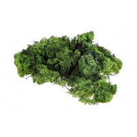 Stabilisiertes Islandmoos 500g