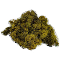 Stabilisiertes Islandmoos 500g – gelb