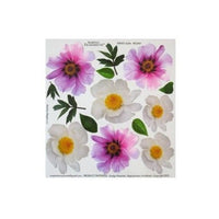 Thermofolie für Sospeso Trasparente Technik 23x24 cm - Peony — Bild 1