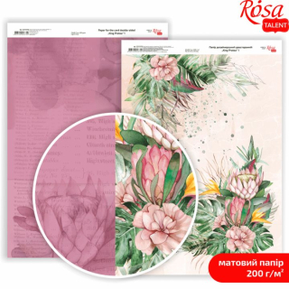 King Protea A4-Scrapbooking-Papiere | Various Designs